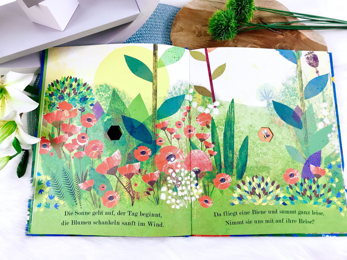 Buch „Bienen - Kleine Wunder der Natur“
