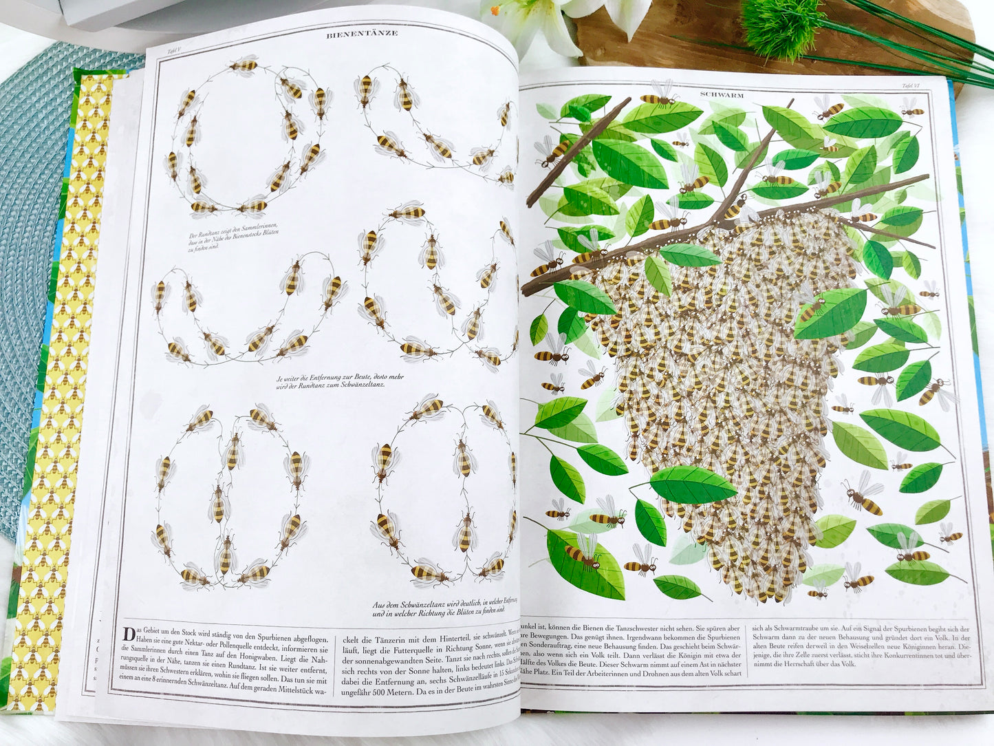 Buch „Bienen“