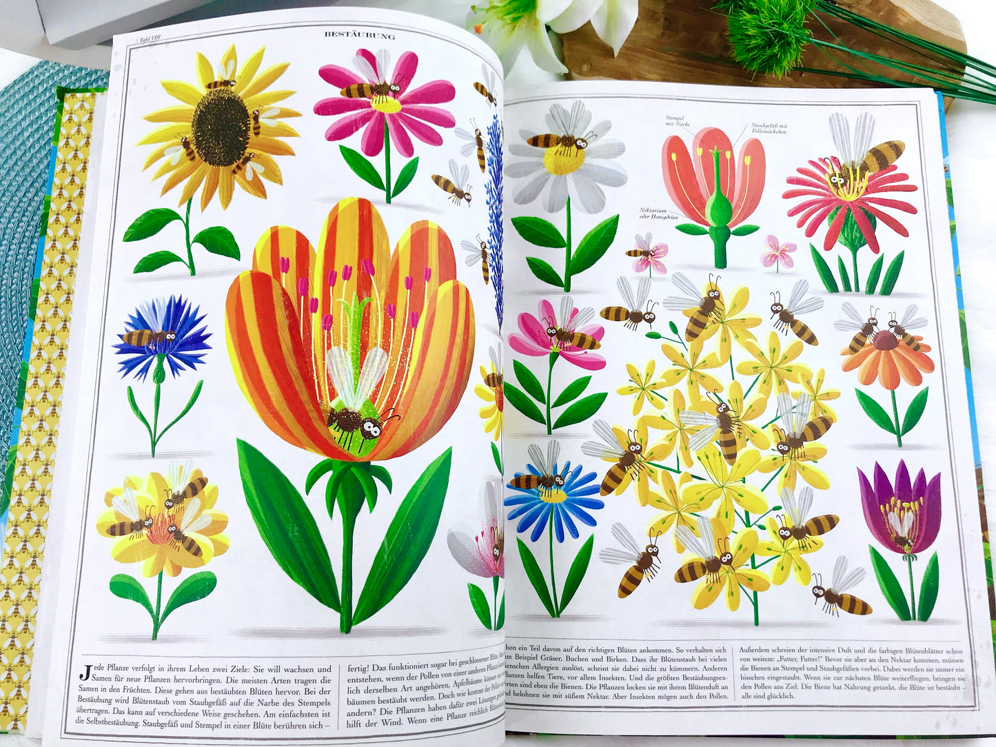 Buch „Bienen“