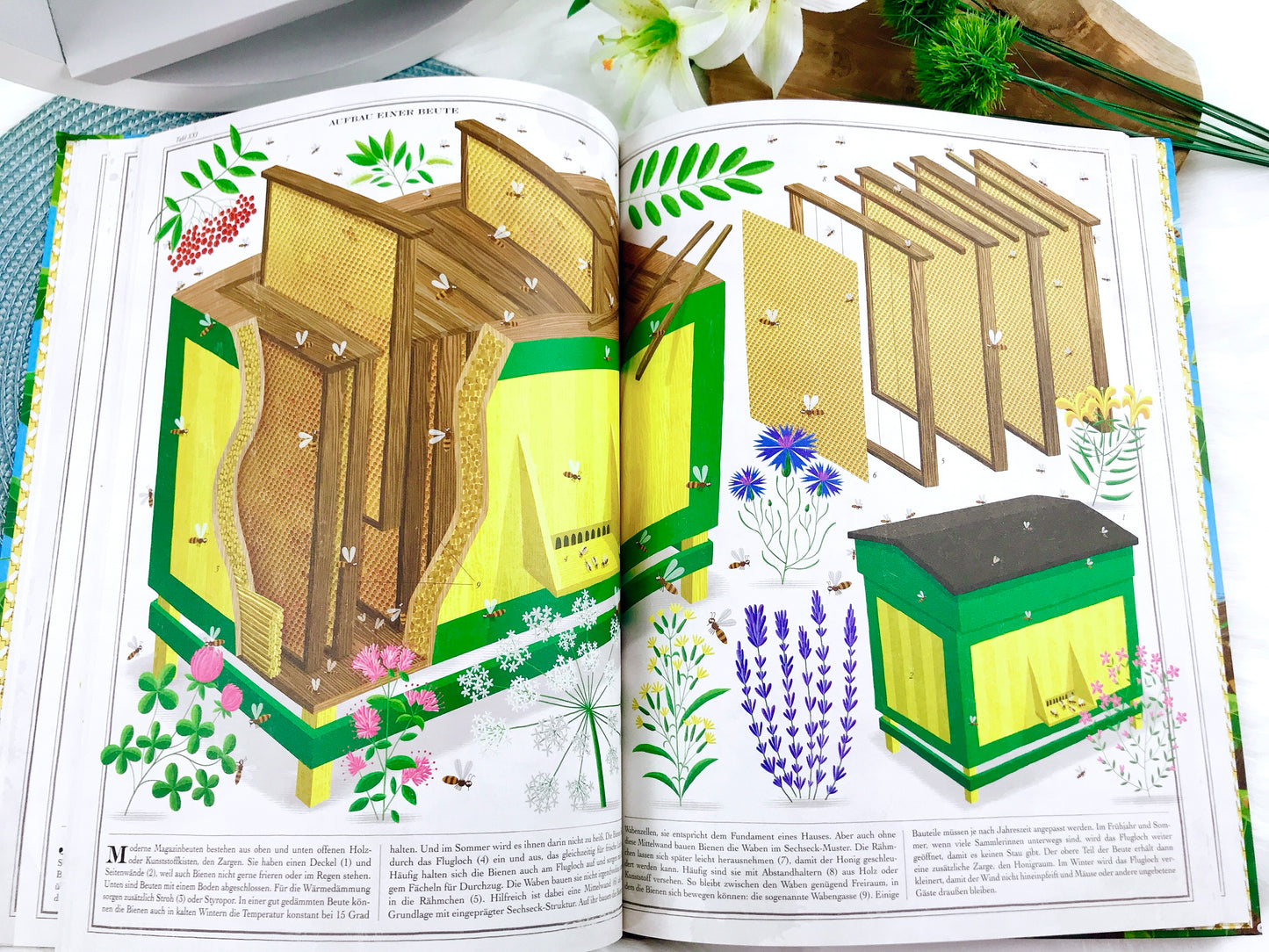 Buch „Bienen“