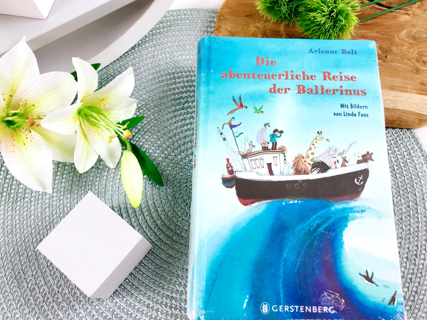 Buch „Die abenteuerliche Reise der Ballerinus“