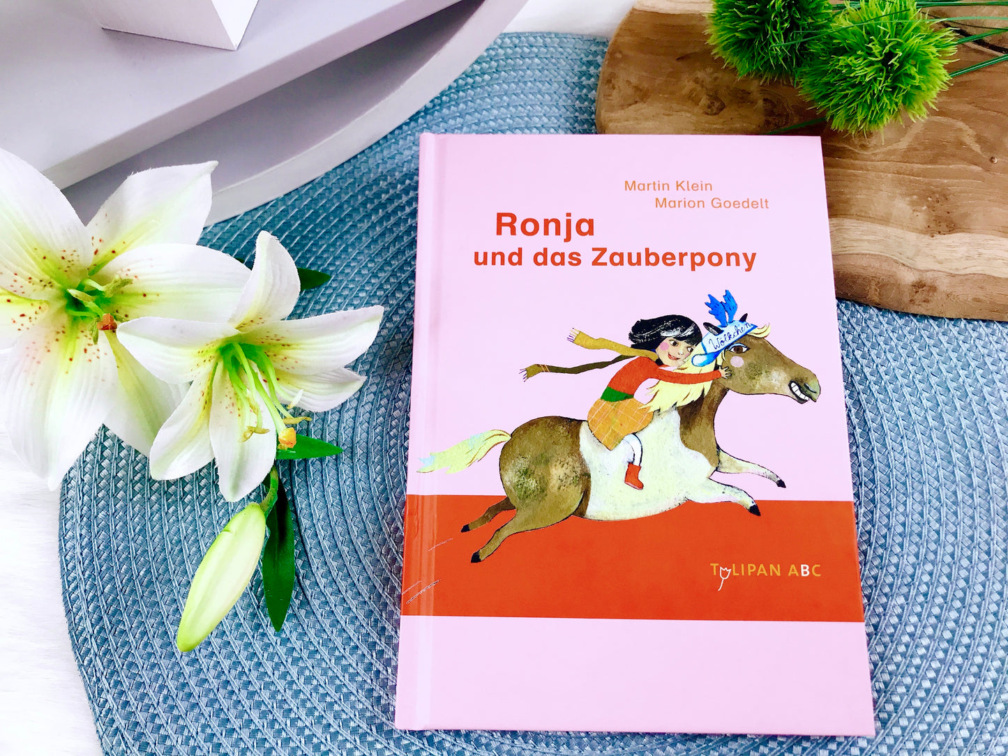Buch „Ronja und das Zauberpony“