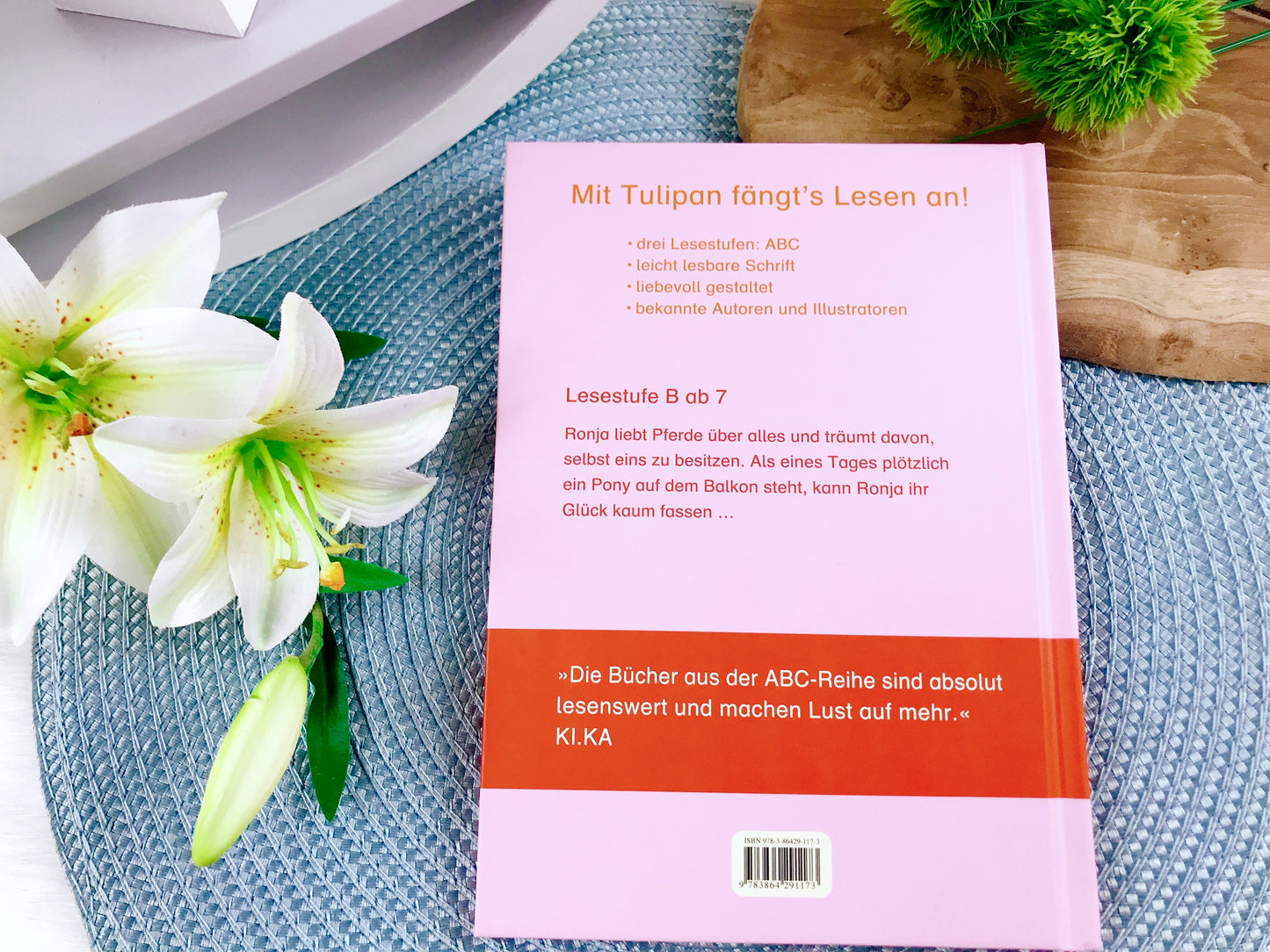 Buch „Ronja und das Zauberpony“