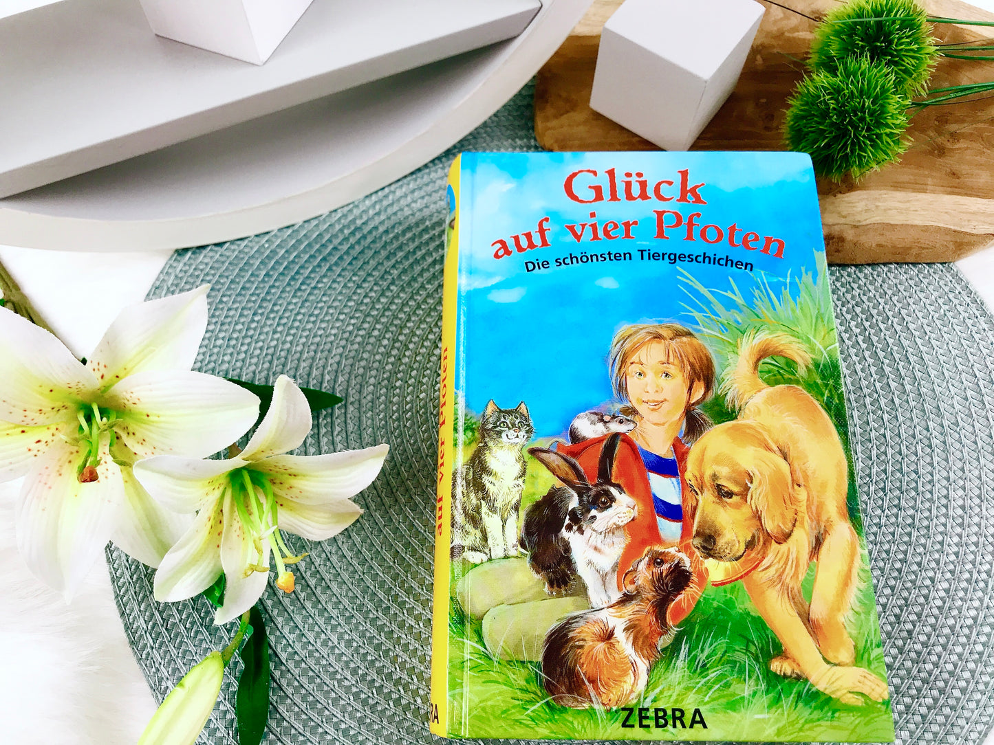 Buch „Glück auf vier Pfoten. Die schönsten Tiergeschichten"