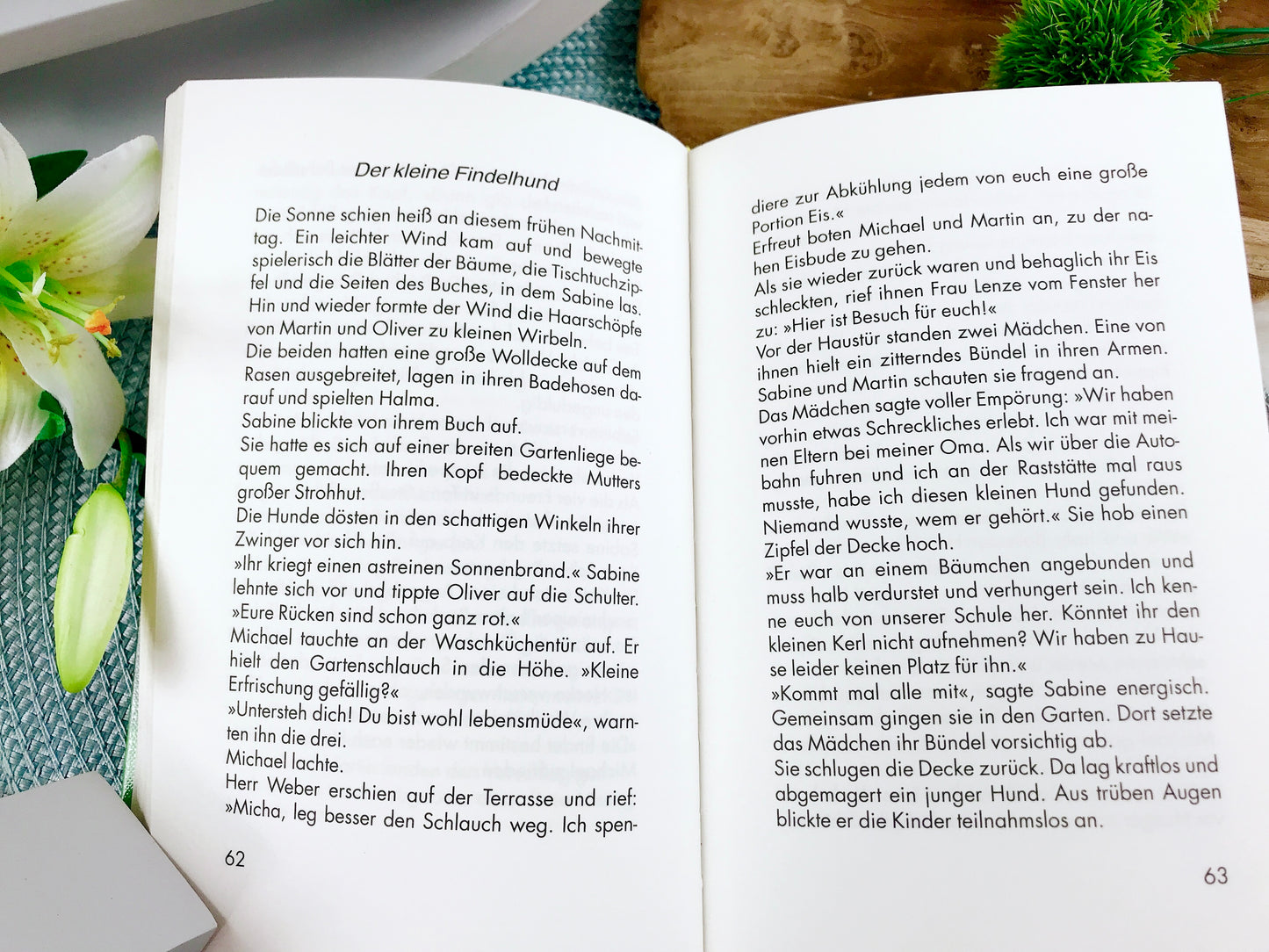 Buch „Glück auf vier Pfoten. Die schönsten Tiergeschichten"
