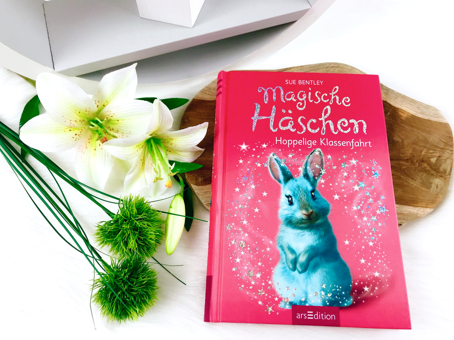 Buch „Magische Häschen - Hoppelige Klassenfahrt“