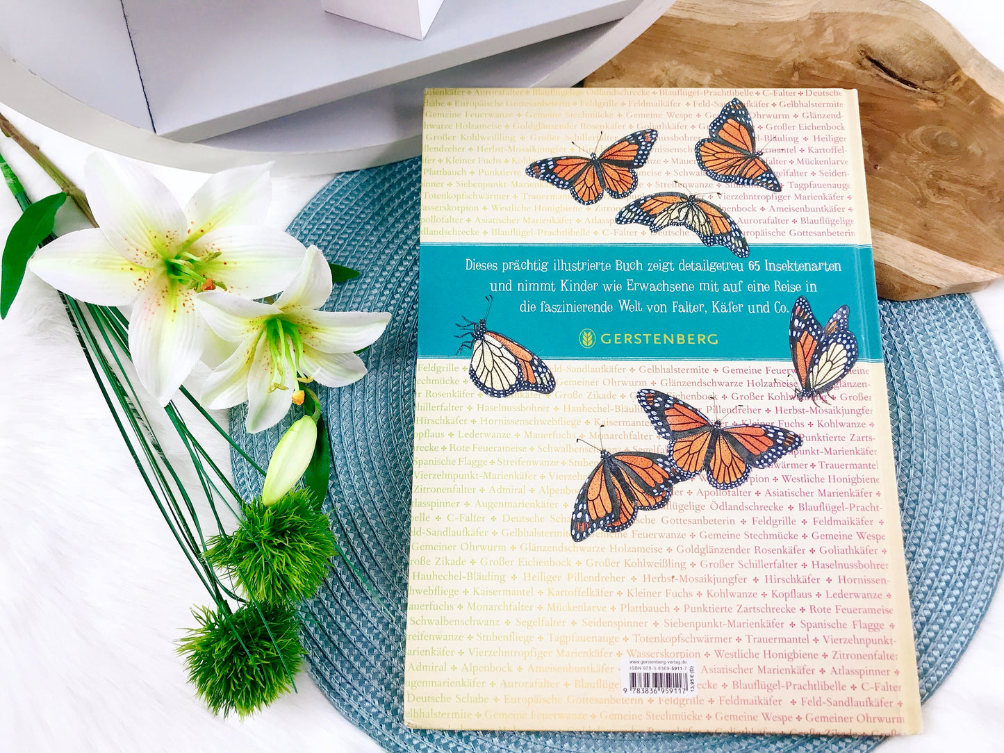 Buch „Fliege, Falter, Honigbiene - Die Welt der Insekten“