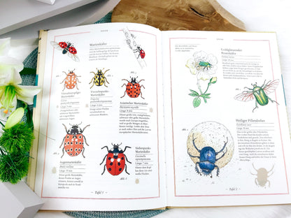 Buch „Fliege, Falter, Honigbiene - Die Welt der Insekten“