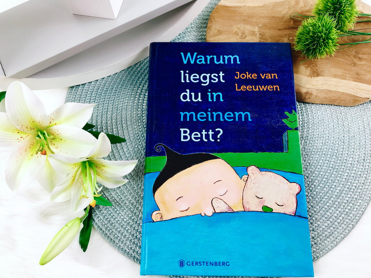 Buch „Warum liegst du in meinem Bett?“