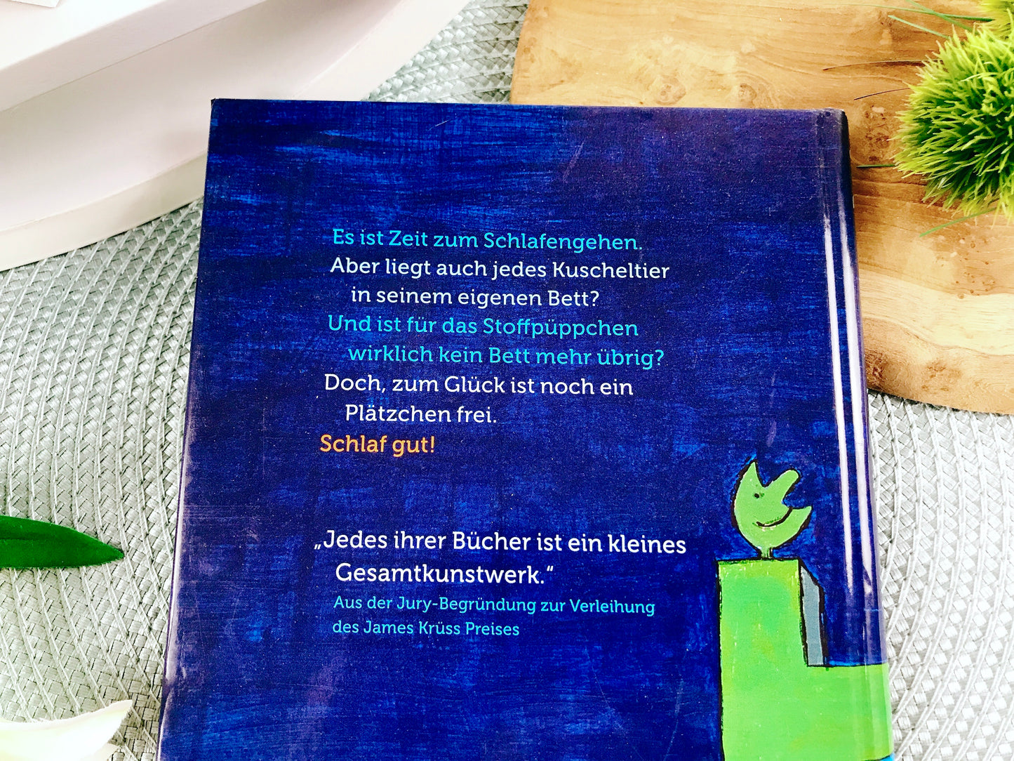 Buch „Warum liegst du in meinem Bett?“