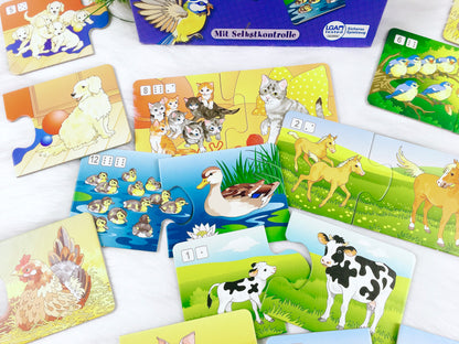 Erstes Zählen mit Tierkindern - Spielend Lernen