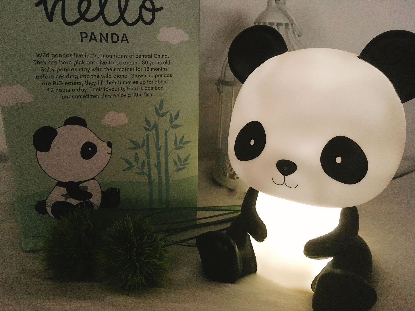 LED-Nachtlicht Panda mit Timerfunktion, A Little Lovely Company